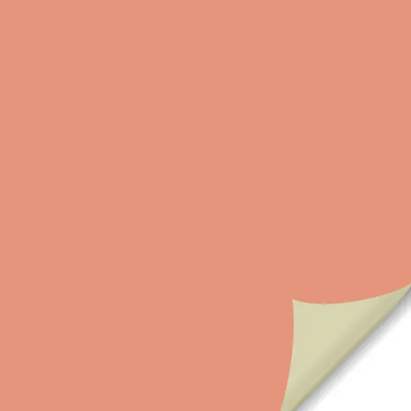 Пленка матовая Duomatt 0.50x2 м цвет фисташково-персиковый
