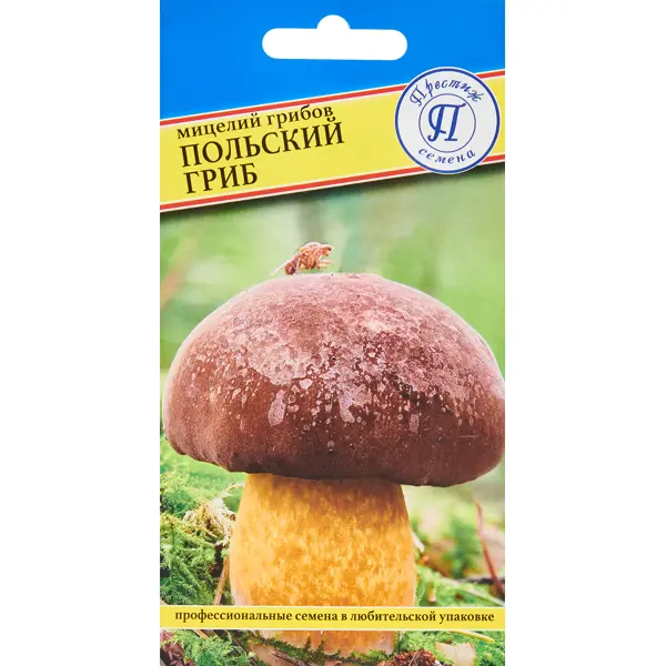 Мицелий грибов гриб Польский семена гриб подберёзовик