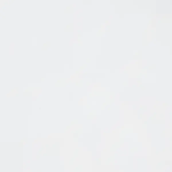 фото Стеновая панель delinia серия супер-белый 240x0.6x60 см дсп