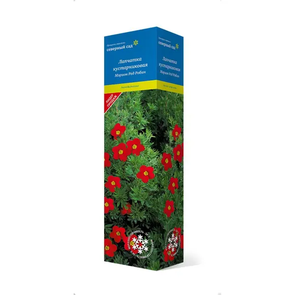 Лапчатка кустарниковая Мэрион Ред Робин h100 см прессованный грунт для вересковых растений робин грин
