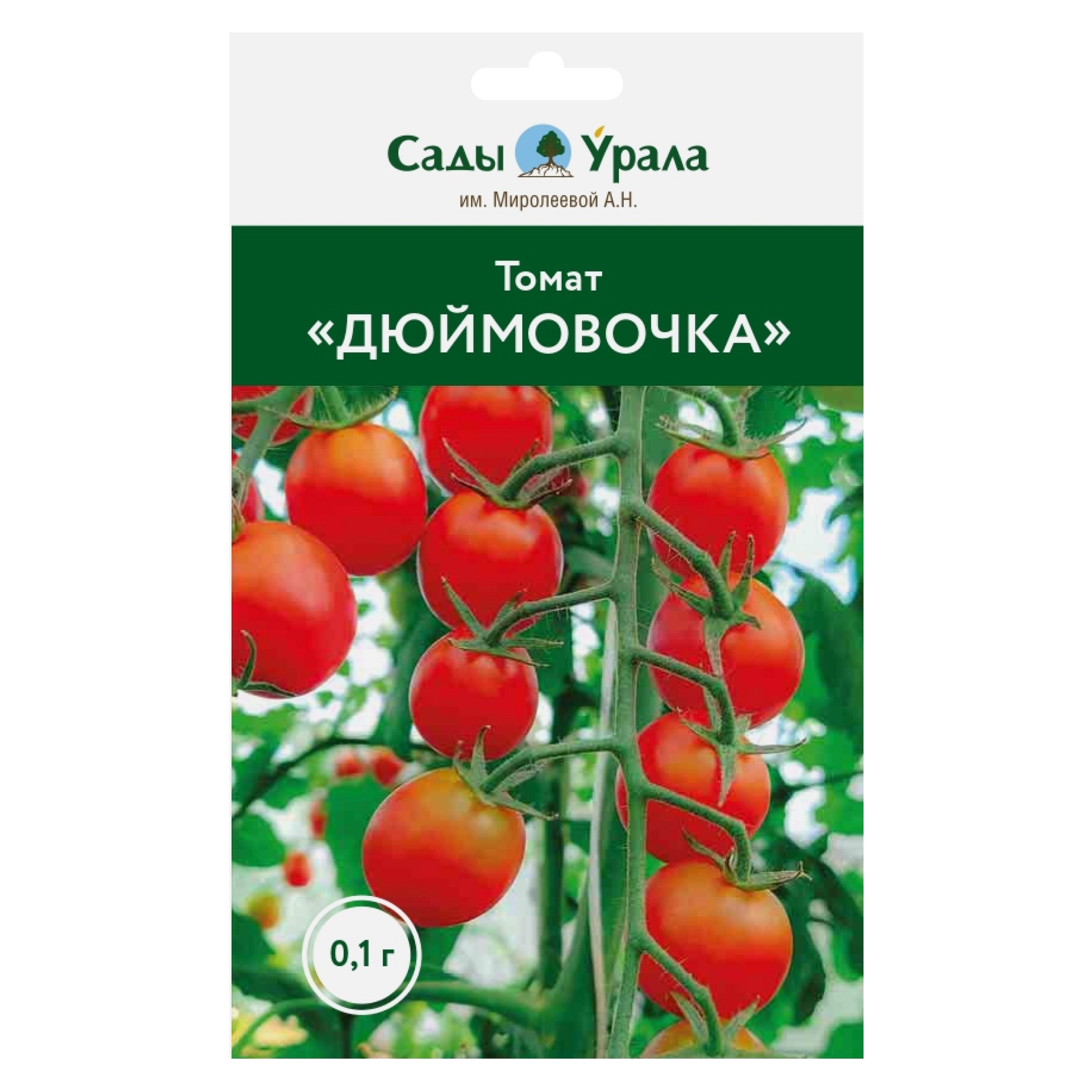 Томат Дюймовочка. Дюймовочка сорт помидор. Томат Дюймовочка 0,05г НК. Томат Дюймовочка характеристика. Томат дюймовочка фото