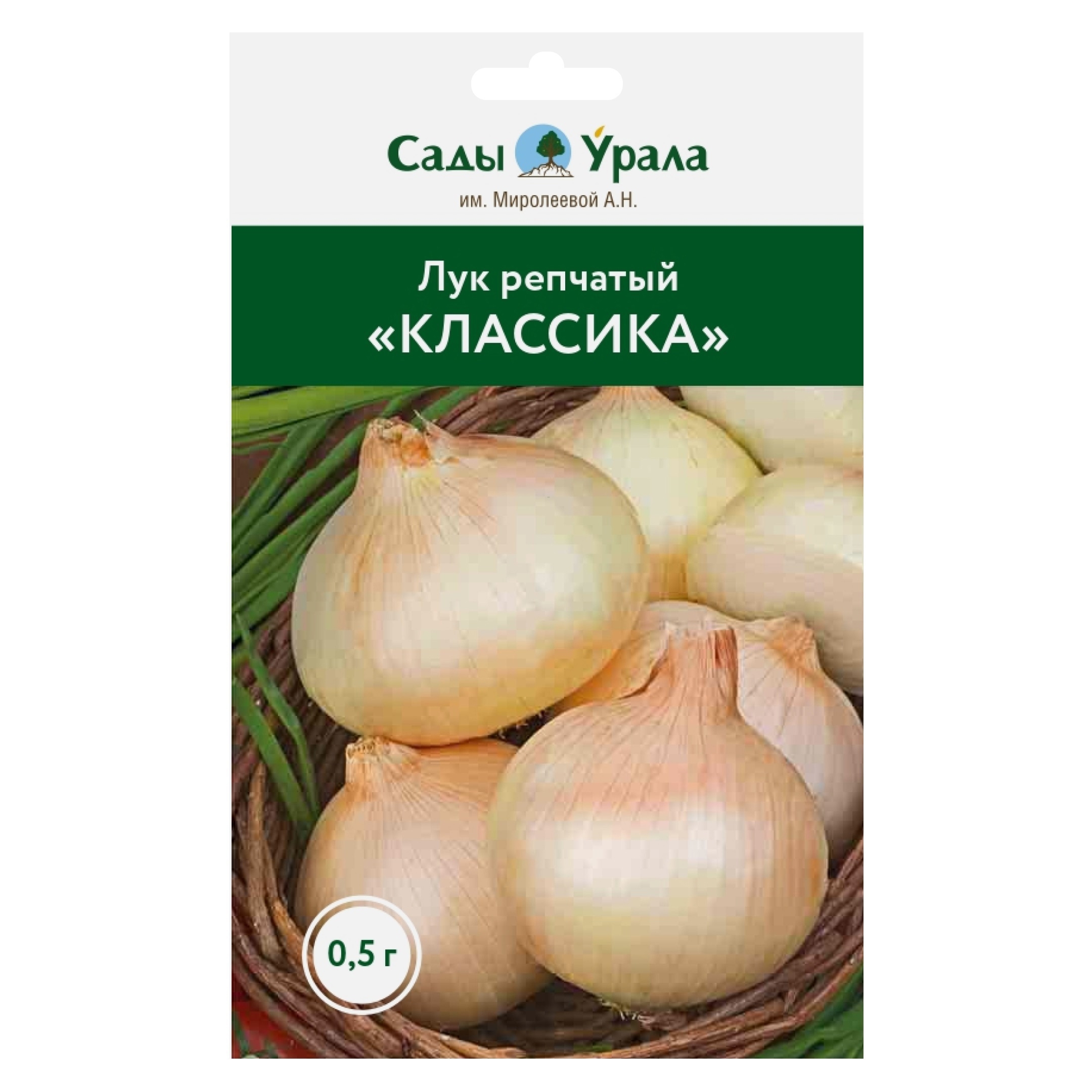 Лук Репчатый Классика Семена Купить