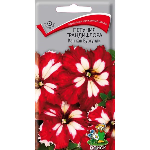 Семена цветов Поиск петуния грандифлора Кан Кан Бургунди 10 шт. семена цветов дарит эшшольция красный вождь