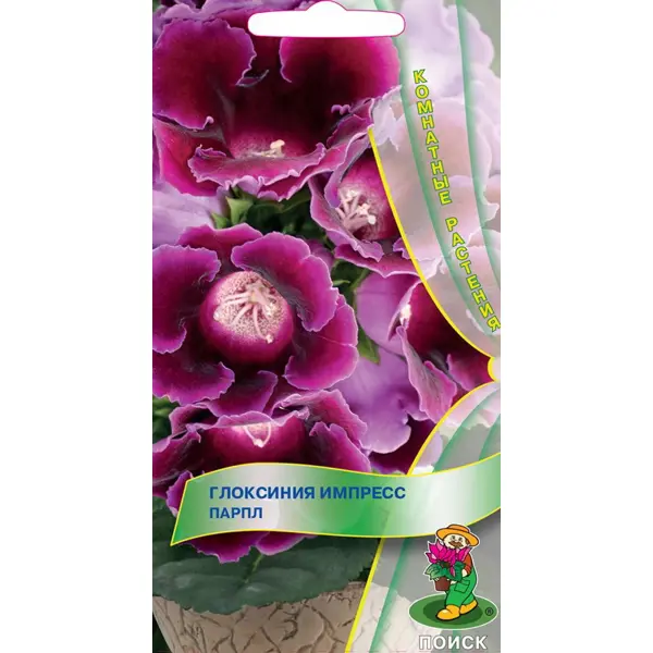 Семена цветов Поиск глоксиния Импресс Парпл 5 шт. глоксиния аванти саката нежно розовая 5 шт