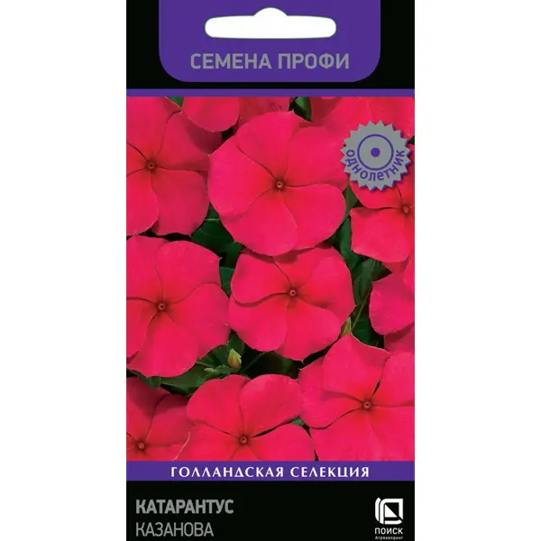 Семена цветов Поиск катарантус Казанова 10 шт. семена ов дарит катарантус тату малина