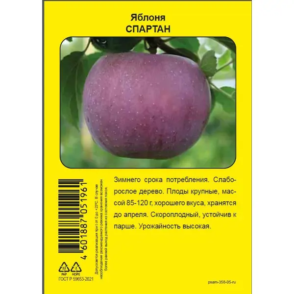 Яблоня Спартан пакет h90 см яблоня коричное полосатое пакет h90 см