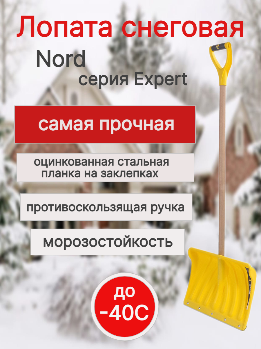 Лопата снегоуборочная Expert Nord 450x330x74x1330 мм деревянный черенок  V-образная ручка по цене 1620 ₽/шт. купить в Архангельске в  интернет-магазине Леруа Мерлен