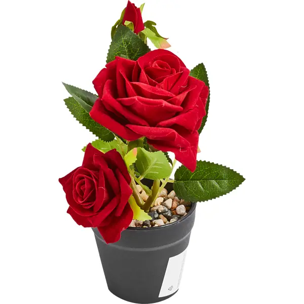 фото Искусственное растение в горшке роза 13х25 см бордовая без бренда