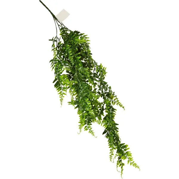 Искусственное растение Колумнея 50x8 см цвет зеленый ПВХ растение искусственное аквариумное на платформе в виде коряги 40 см зелёное 1 шт