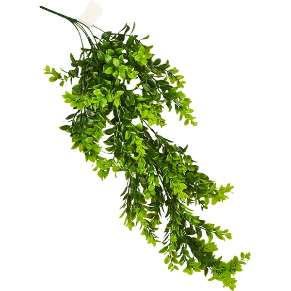 фото Искусственное растение фиттония 40x7 см цвет зеленый пвх без бренда