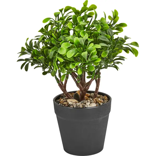 Искусственное растение крассула h22 см ПВХ разноцветный искусственное растение подвесное плющ 95 см