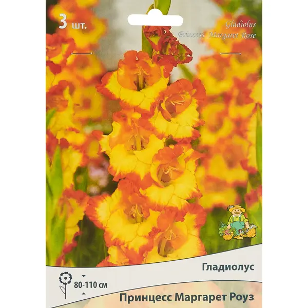 Гладиолус крупноцветковый Принцесс Маргарет Роуз 3 шт. мармелад с игрушкой свитбокс для принцесс 10г конфитрейд