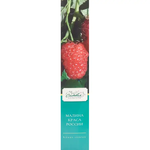 Саженцы плодово-ягодные в коробке h35 микс смородина белая микс ø21 5 h50 см