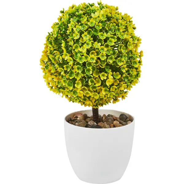 Искусственное растение Самшит h30 см ПВХ цвет зеленый искусственное растение самшит ø25 см 2 полусферы