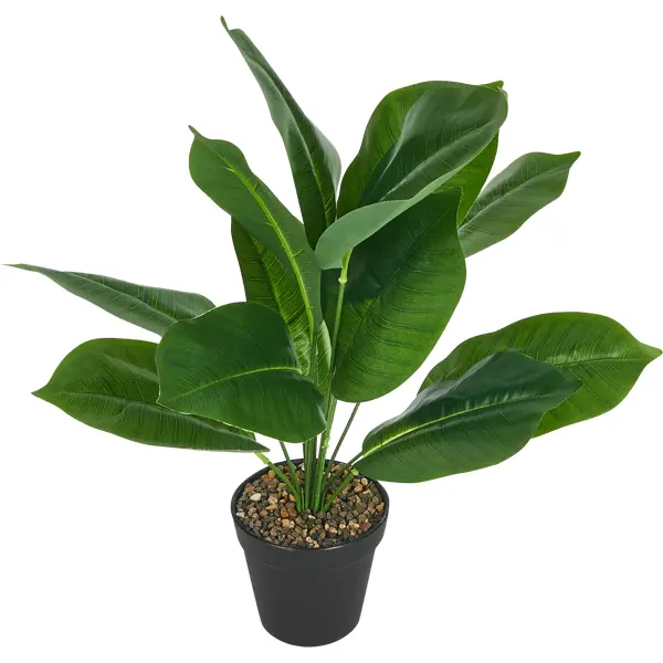 Искусственное растение Аспидистра h45 см полиэстер разноцветный искусственное растение пальмовый лист ветка h56 см полиэстер зеленый