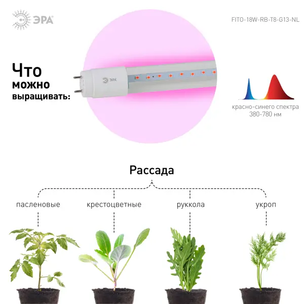 фото Фитолампа светодиодная линейная для растений эра fito т8 g13 18 в 220 вт 640 лм красно-синий спектр розовый свет