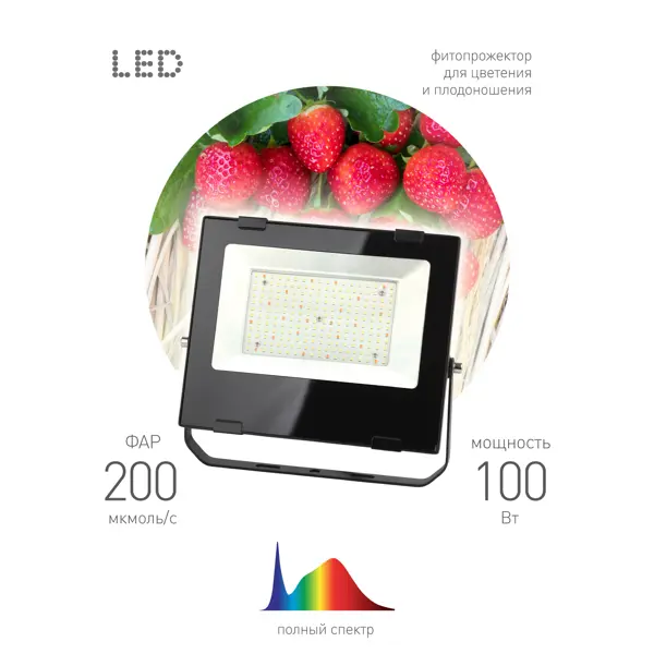 фото Прожектор светодиодный для растений эра fito 100 вт полный спектр нейтральный белый свет
