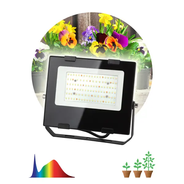 фото Прожектор светодиодный для растений эра fito 50 вт полный спектр нейтральный белый свет влагостойкий