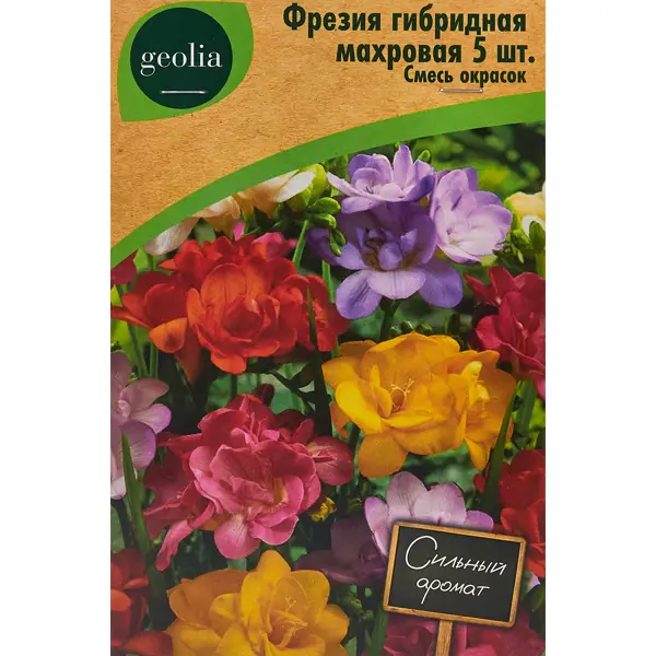 Фрезия Geolia гибридная махровая смесь окрасок 5 шт ромашка персидская geolia робинзон смесь окрасок
