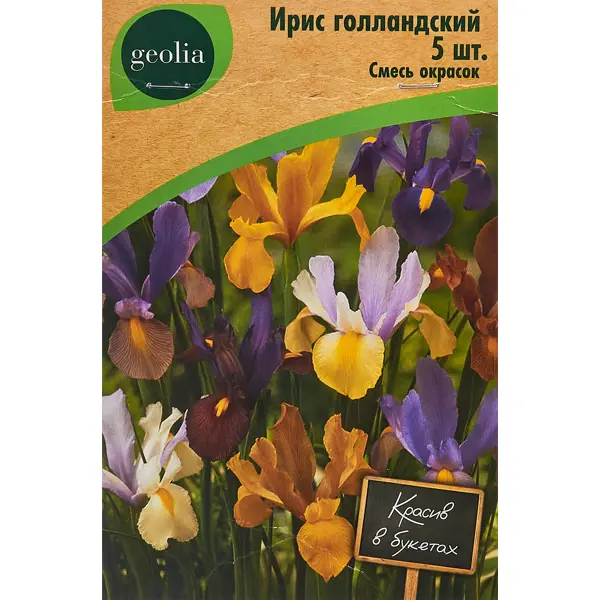 Ирис Geolia голландский смесь окрасок 5 шт анемона geolia корончатая сент бриджид смесь окрасок 5 шт