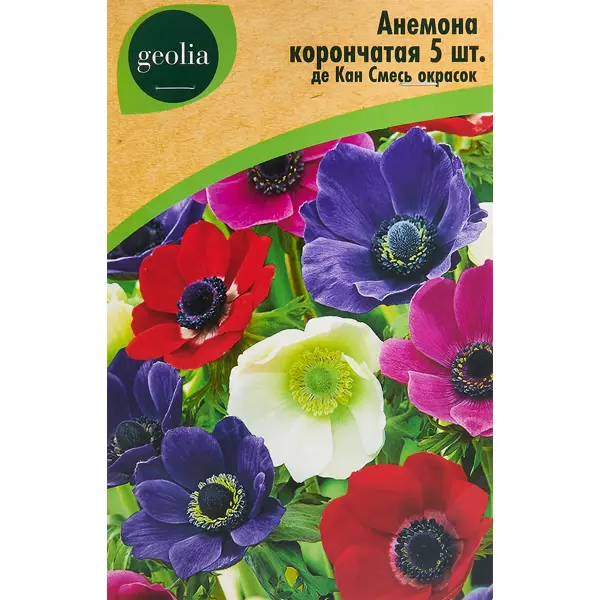 Анемона Geolia корончатая Де Кан смесь окрасок 5 шт астра geolia музыкальная шкатулка смесь окрасок