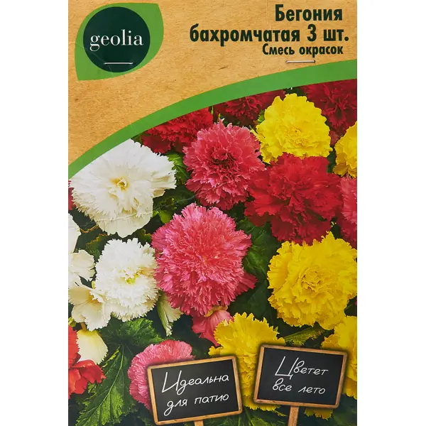 Бегония бахромчатая смесь окрасок Geolia 3 шт ромашка персидская geolia робинзон смесь окрасок