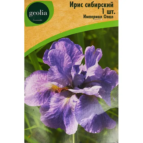 Ирис Geolia сибирский Империал Опал лилия geolia от гибрид пэшн мун