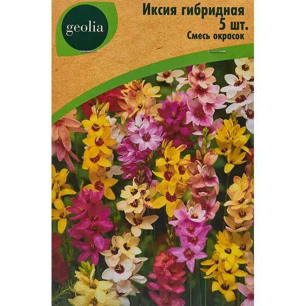 Иксия Geolia гибридная смесь окрасок 5 шт флокс geolia искусство теней смесь окрасок