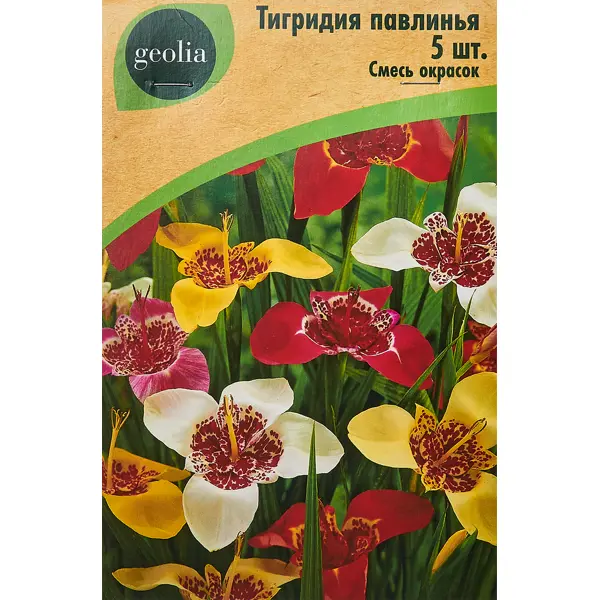 Тигридия Geolia Павлинья смесь окрасок 5 шт ромашка персидская geolia робинзон смесь окрасок