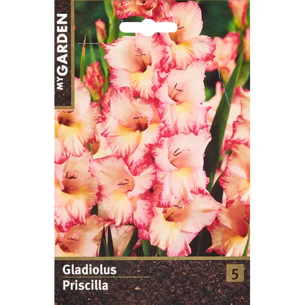 Гладиолус крупноцветковый Присцилла гладиолус крупноцветковый принцесс маргарет роуз 3 шт