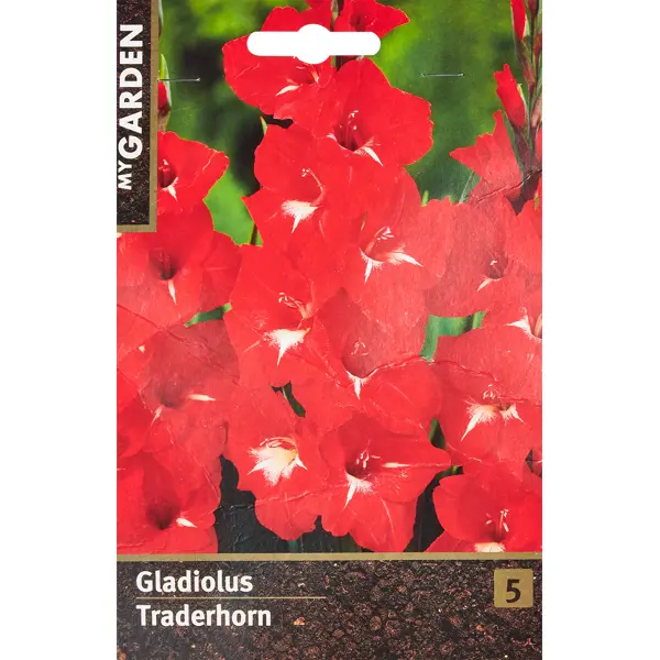 Гладиолус крупноцветковый Траденхорн гладиолус крупноцветковый принцесс маргарет роуз 3 шт