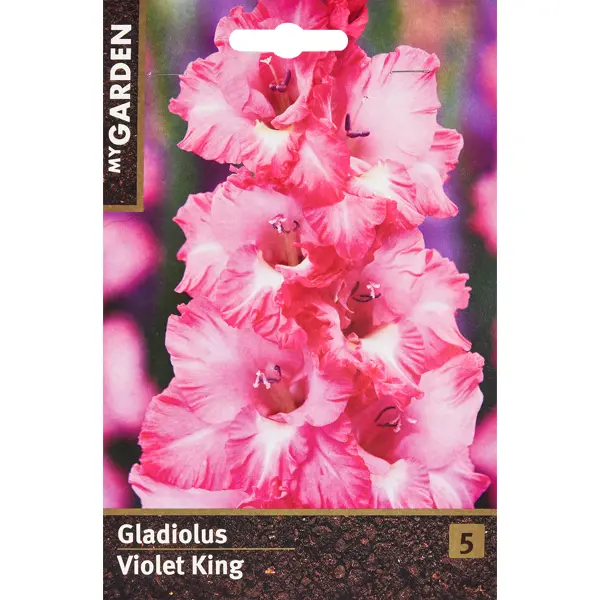 Гладиолус крупноцветковый Вайлет Кинг цветок настурция голден кинг 2г агрони