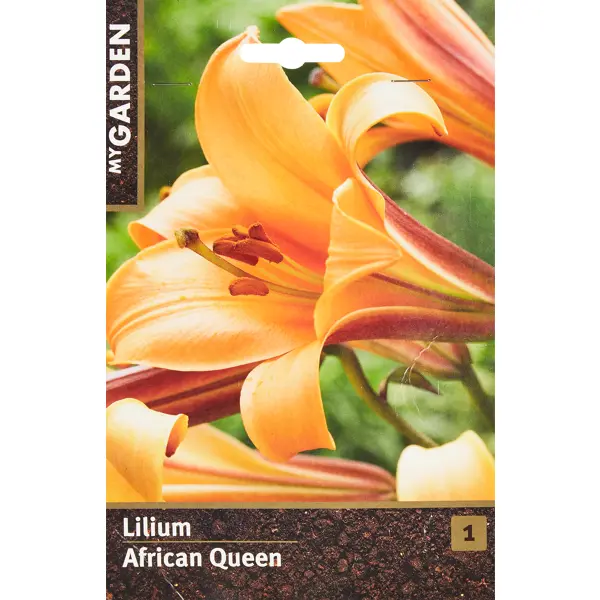 Лилия трубчатая трубчатая Африкан Куин лилия трубчатая африкан квин