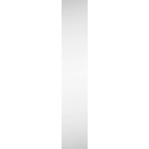 фото Дверь для шкафа лион 39.6x225.8x2.3 цвет серый с зеркалом без бренда