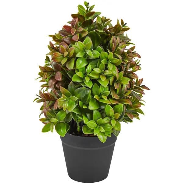 Искусственное растение в горшке Кротон ø12 h27 см искусственное растение нежно голубой клевер 41x25 см пластик зеленый