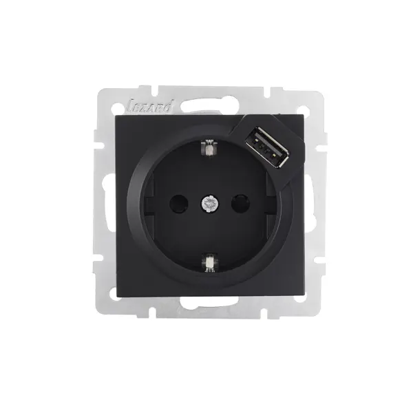 Розетка USB двойная встраиваемая Lezard Vesna 742-4288-181 с заземлением цвет черный