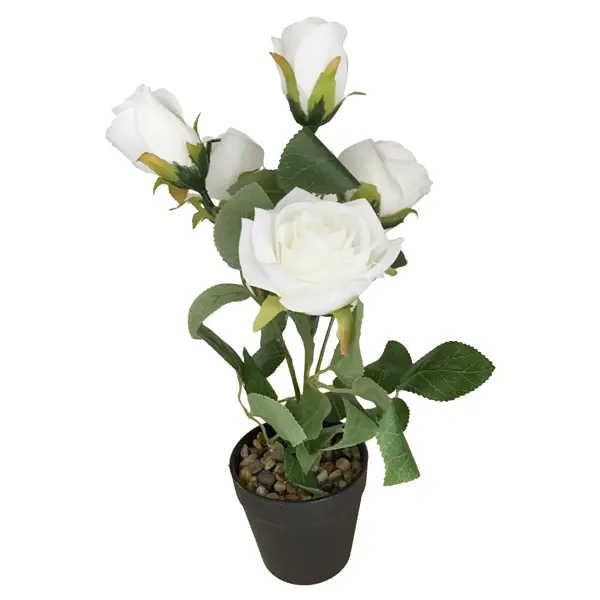 Искусственное растение Роза 30x10 см цвет белый пластик искусственное растение роза красная 80 см