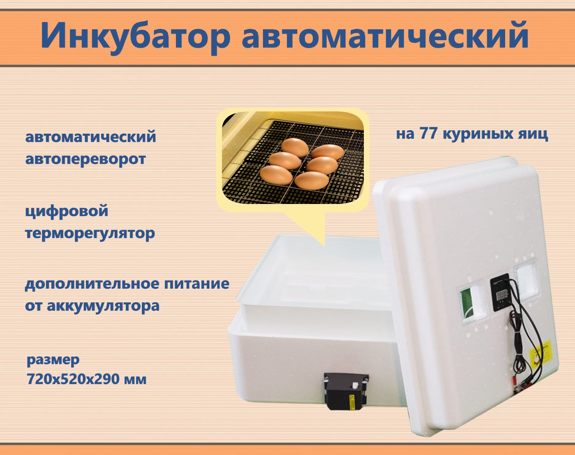 Инкубатор автоматический Несушка SP26094 на 77 яиц 220 В 12 В с цифровым  терморегулятором ✳️ купить по цене 17400 ₽/шт. в Казани с доставкой в  интернет-магазине Леруа Мерлен