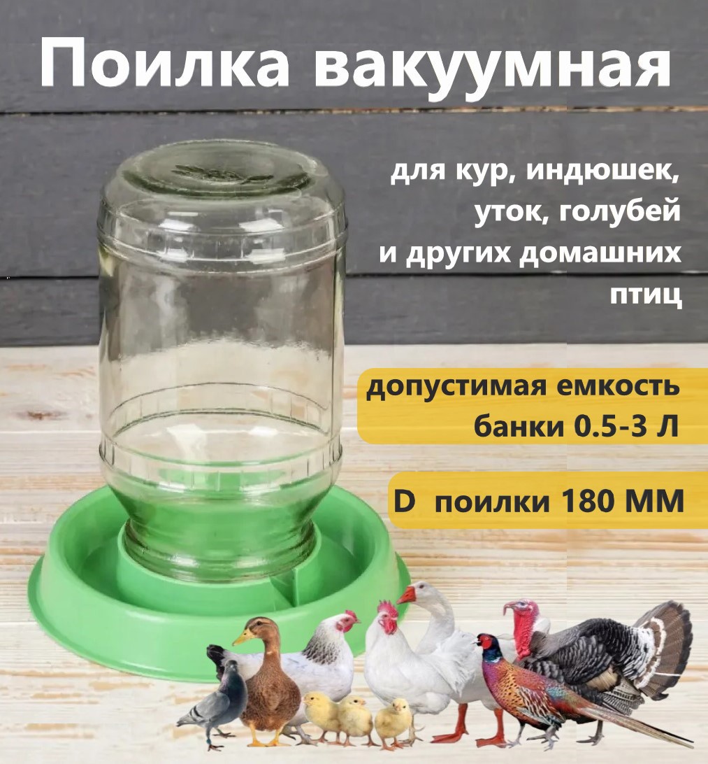 Орнитолог рассказал, как правильно сделать поилку для птиц | Телеканал Санкт-Петербург