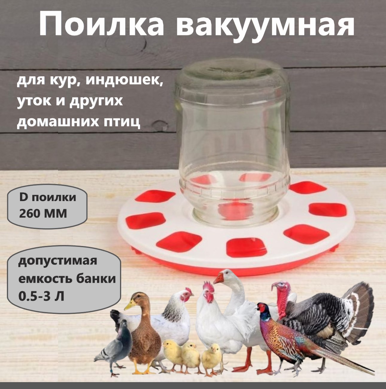 Поилка для птиц ᐅ Купить поилку для птицы | Ukrferma