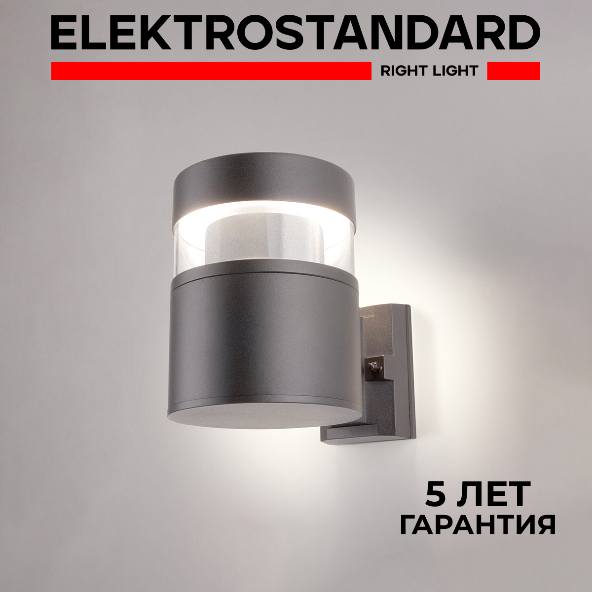 Светильник настенный светодиодный уличный Electrostandart 1530 Techno серый  ✳️ купить по цене 4920 ₽/шт. в Москве с доставкой в интернет-магазине Леруа  Мерлен