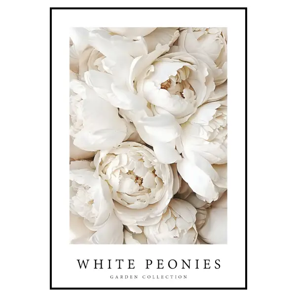 Набор постеров 28 картин Белые пионы. Цветы 175x85 см 5 шт, в тубусе без  рамы по цене 2320 ₽/шт. купить в Твери в интернет-магазине Леруа Мерлен
