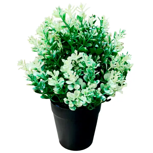 фото Искусственное растение краспендия чабрец ø14 см пвх зеленый без бренда