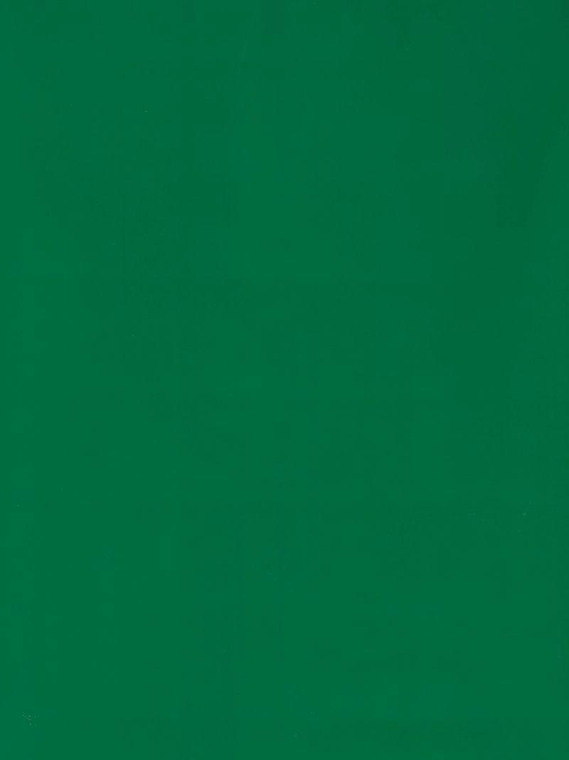 Серо зелёный глянец цвет. Зеленый глянцевый пол. Темно коричневая мегамикс мл 1110 цвет. Глянцевый зеленый цвет