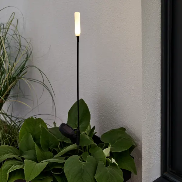 Садовая подсветка Inspire Inox на солнечных батареях 82 см, эффект колебания, цвет черный гирлянда светодиодная inspire barelas на солнечных батареях 5 м белый