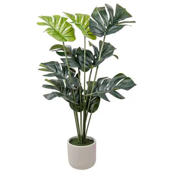фото Искусственное растение монстера 82x16 см пластик без бренда
