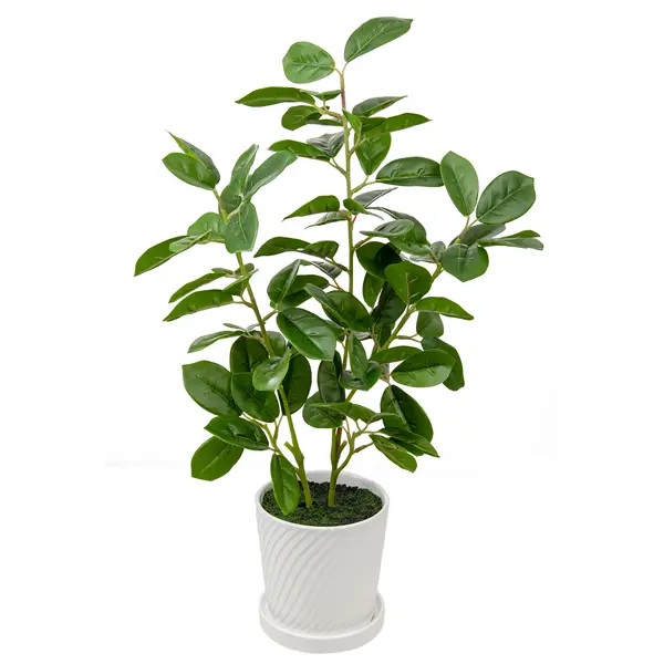 фото Искусственное растение мини дерево 61x12.5 см пластик без бренда