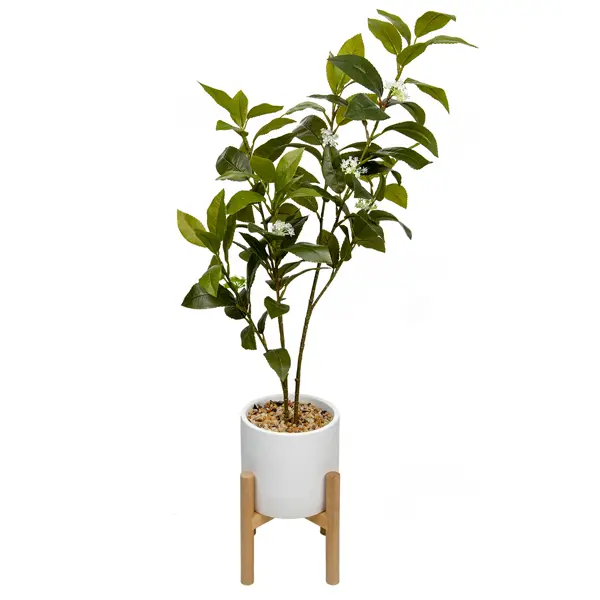 фото Искусственное растение дерево 81x14.5 см пластик без бренда