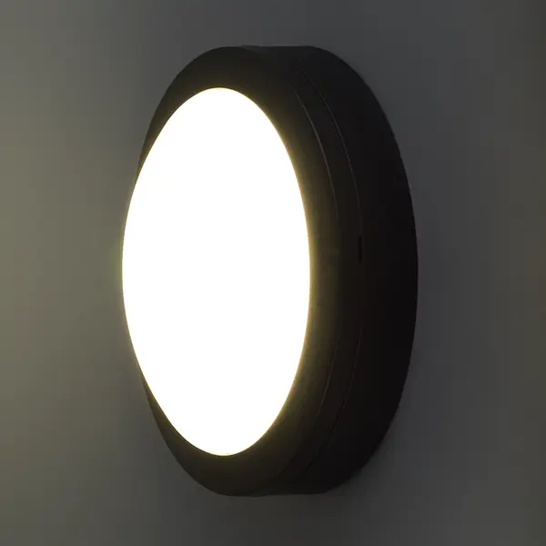фото Светильник настенный светодиодный влагозащищенный elektrostandard ltb51 8 м², белый свет, цвет чёрный