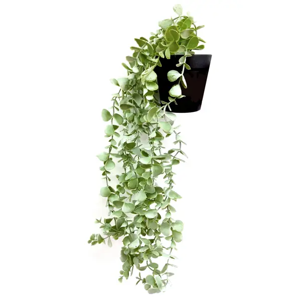 Искусственное растение Эвкалипт 9.5x8.5x50 см искусственное растение в горшке эвкалипт h30 см коричневый